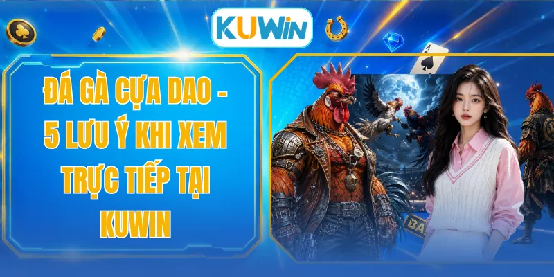 Đá Gà Cựa Dao - 5 Lưu Ý Khi Xem Trực Tiếp Tại KUWIN